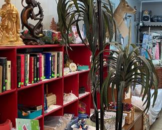 Assorted Books, Silk Plant