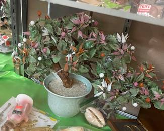 Jade Tree Plant in Vase