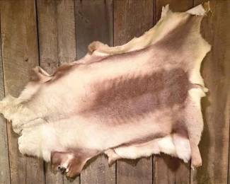 Animal Hide