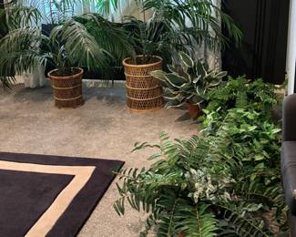 Greenery