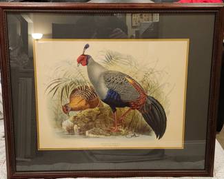 $150 Framed vintage lithograph 