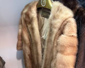 Variety of Furs