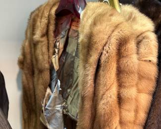 Variety of Furs