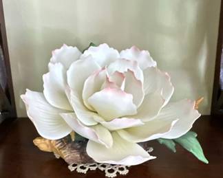 Andrea peonies