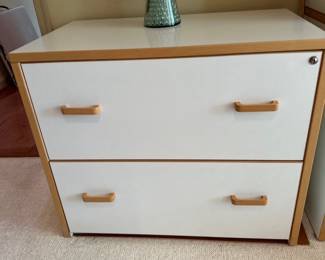 Scan style file cabinet