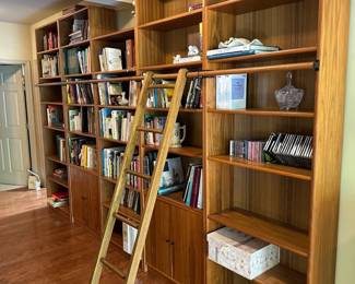 Book cases with library ladder