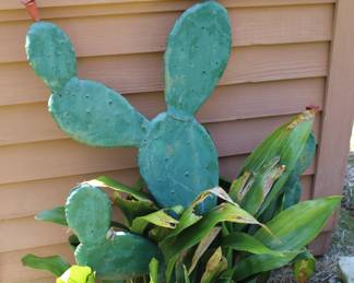 metal cactus