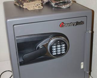 Sentry safe, for documents or a popgun