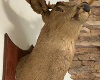 DEET MOUNT 6 PT