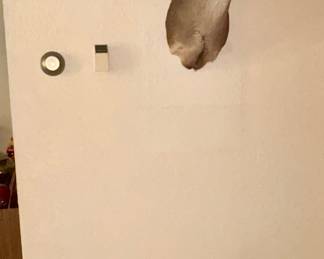 Record sets, taxidermy deer head