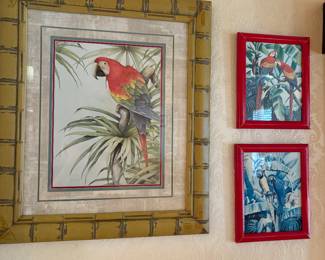 Parrot Prints Framed Jean Cassidy