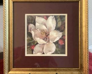 Magnolia