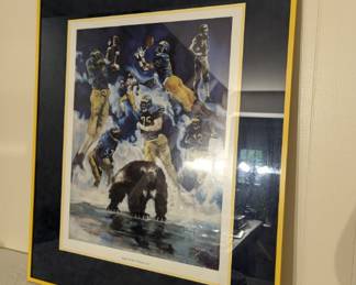 University of Michigan Sports Memorabilia