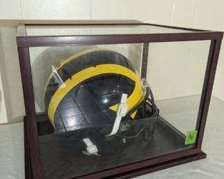 University of Michigan Sports Memorabilia