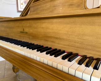 Steinway & Sons ebonized baby grand piano, made exclusively for L. Grunewald Co. New Orleans