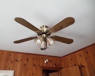 Illuminated ceiling fan - multiples available