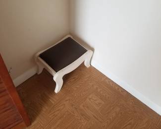 Stool