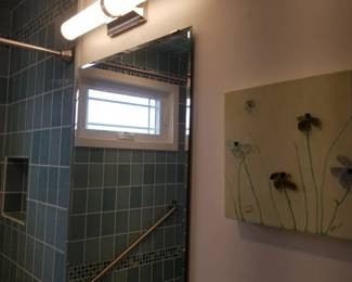 Vanity mirror & light