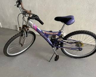 Beach bike