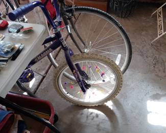 Bicycles needs some tlc