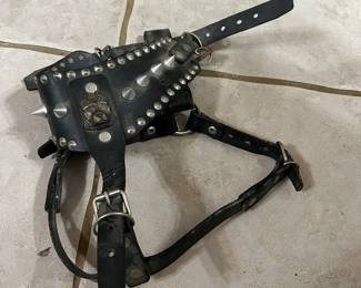 Literally the Most serious dog collar I have ever seen… I honestly believe that something similar to this is what Danny Trejo‘s dogs wear. As a matter fact I am basically certain of it