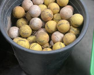 They say Old Golfers never die, they just lose their balls, we found them