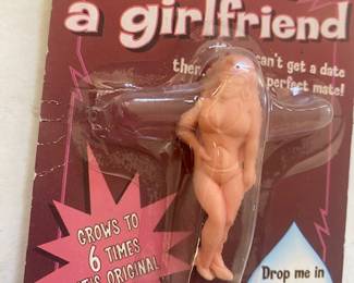 Your very Own girlfriend to own