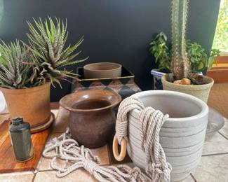 Live Indoor Plants Pots