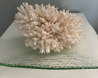 Piece of coral and a glass dish