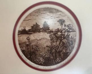 Framed print, "Wild Carrot Top"