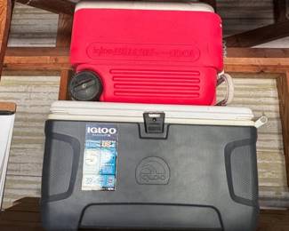 Several large and portable Igloo coolers available