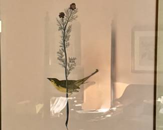 "Selby's Flycatcher" by John James Audubon, from his renowned series "Birds of America" (1827-1838)…SUPERB PIECE