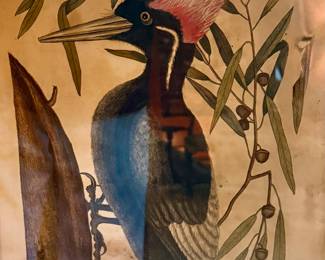 Mark Catesby (1682-1749) & George Edwards (1694-1773) STEINMAN (compilor). Album, with manuscript title 'Receuil d'oiseaux enluminés de Marc Catesby 1769', hand-coloured plates from Johann Michael Seligmann's Sammlung verschiedener auslaendischer Voegel, 12pp. calligraphic manuscript introduction and index. Lyons: 1769.