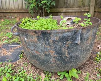 #7 - 20" Cast Iron Pot w/Handles $50