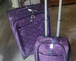 Skyway Luggage