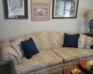 Sleeper Sofa