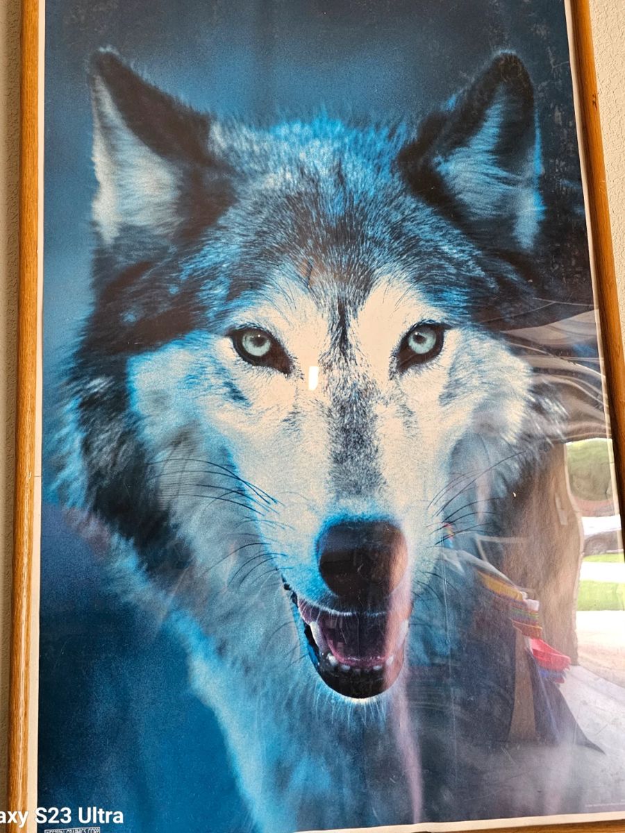 Capturing print