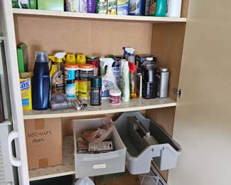 lots of cleaning supplies