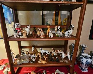 lots and lots of doggies