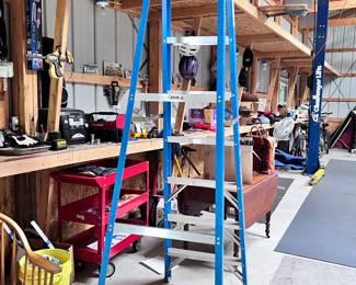 WERNER LADDER