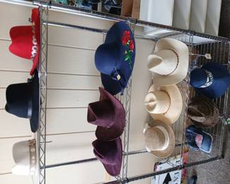Women's and men's hats