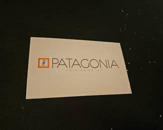 Patagonia Animal Print Chair