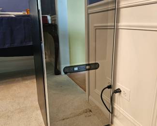 Wine Enthusiast 32-Bottle Wine Cooler
