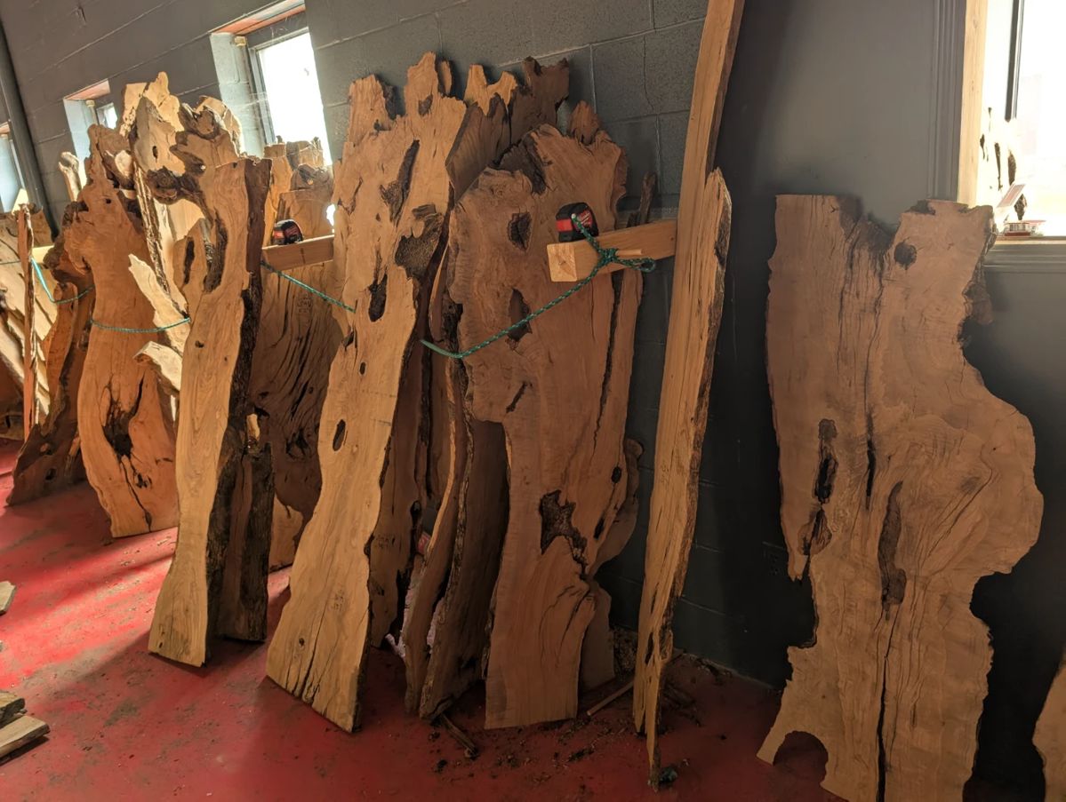 Olive wood slabs