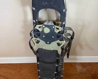 Snowshoes
