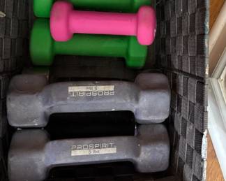 Hand weights
