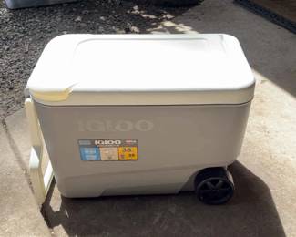 Igloo Cooler
