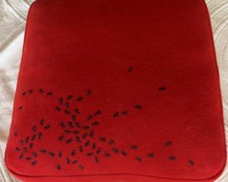 Red Wool Decorator Pillow Embellished w/Ants