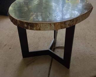 Petrified Wood Top Table #2
