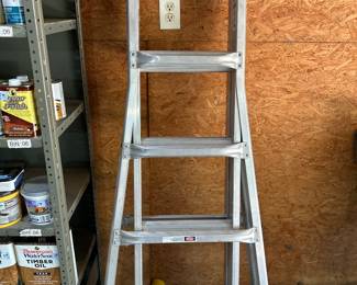 Nice Werner ladder